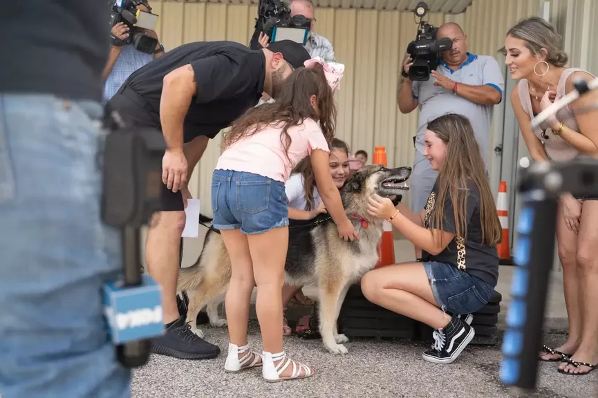 Hond jaren geleden gestolen, wordt 1000 km teruggevlogen en herenigd met familie 5