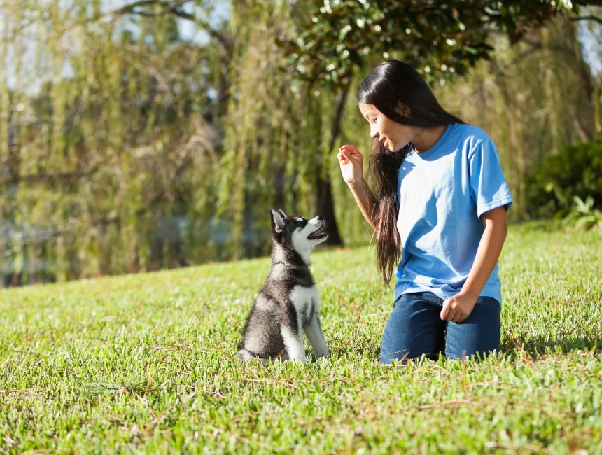 Puppies Learning